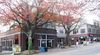 3601 Fremont Ave N photo